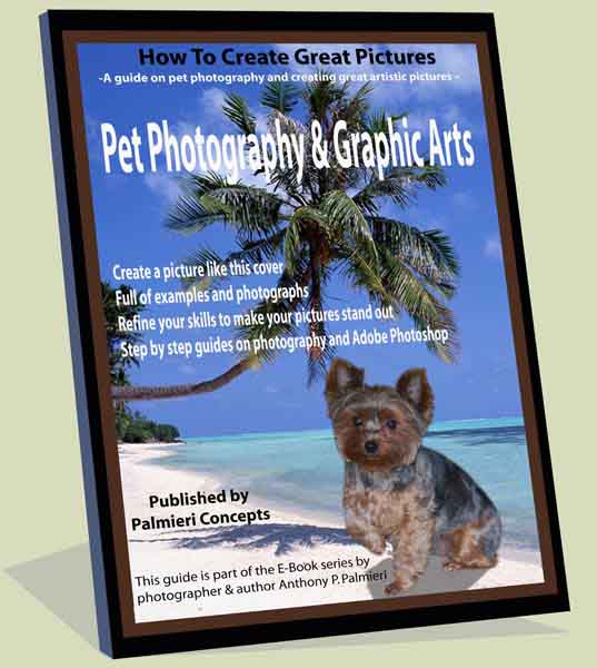 pet photography book
