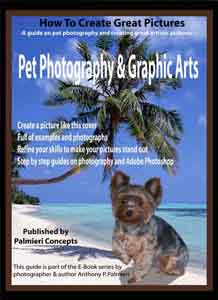 pet photography book