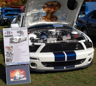 2007 Shelby GT500 Mustan show board