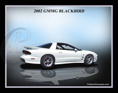 P206-2002-GMMG-Blackbird-Reflection-White