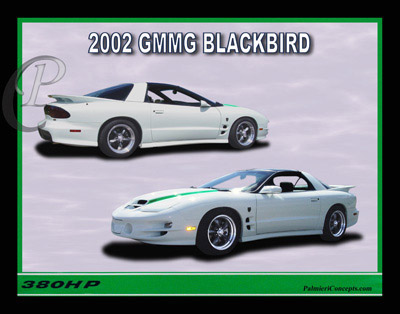 P207-2002-GMMG-Blackbird-Collage-White