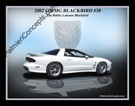 a-2002 GMMG Blackbird Firebird reflection