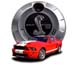 a-2007 Shelby GT500car over gas cap