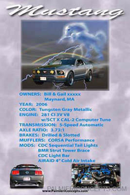 example 53 -2006 Ford Mustang-showboard